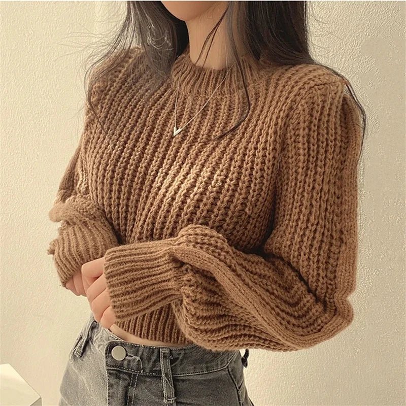 Lantern Long Sleeve Women Sweater - Bubble Girl