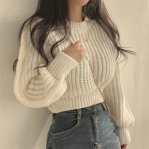 Lantern Long Sleeve Women Sweater - Bubble Girl