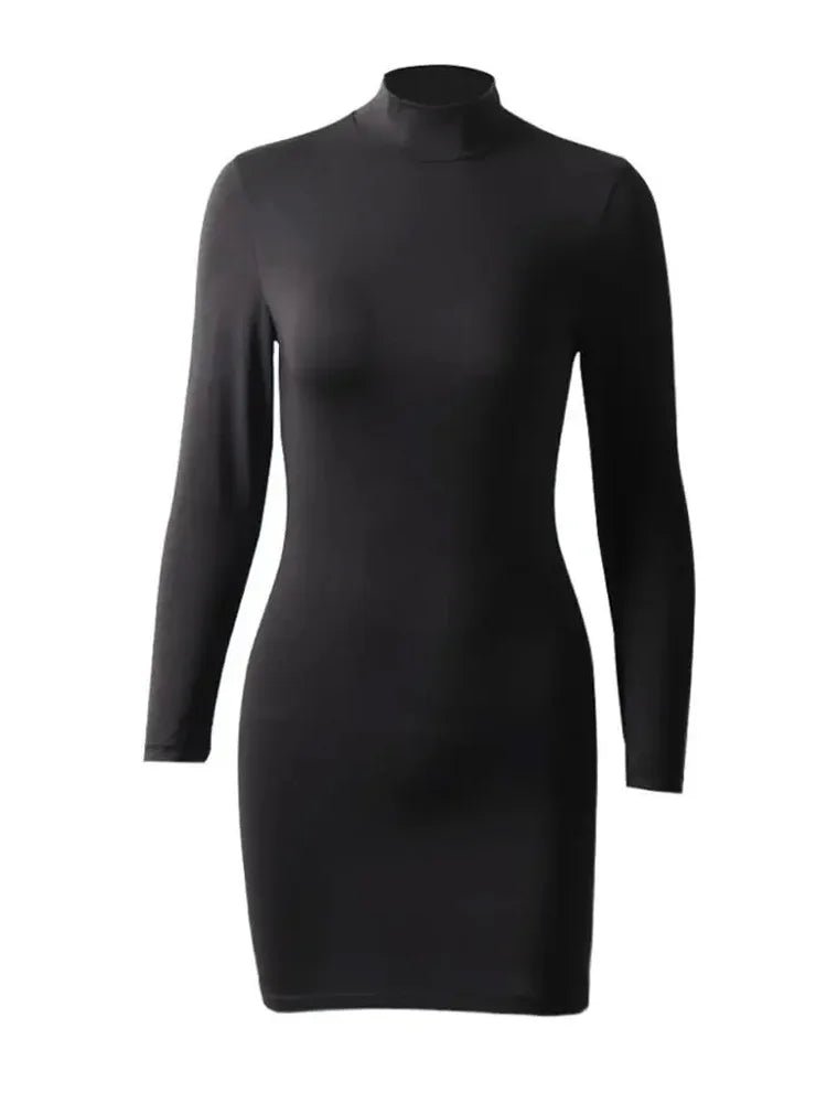 Mock Neck Casual Basic Turtleneck Dress - Bubble Girl
